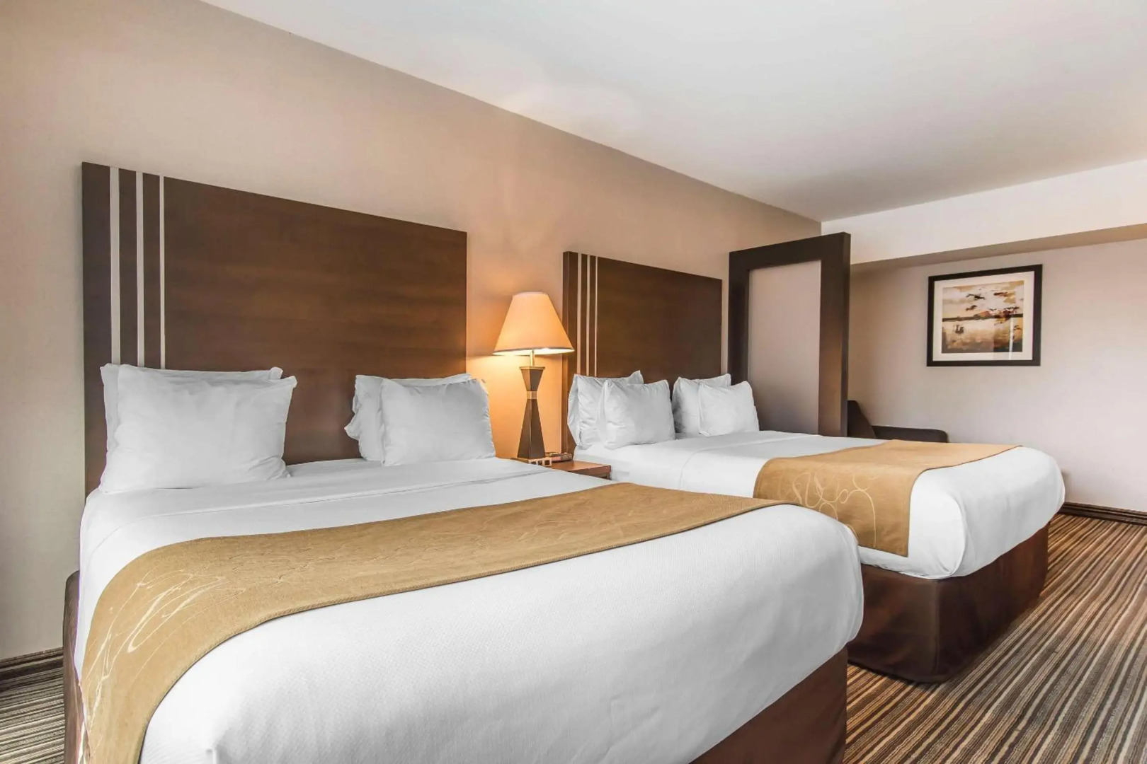 Foto - Comfort Suites Downtown