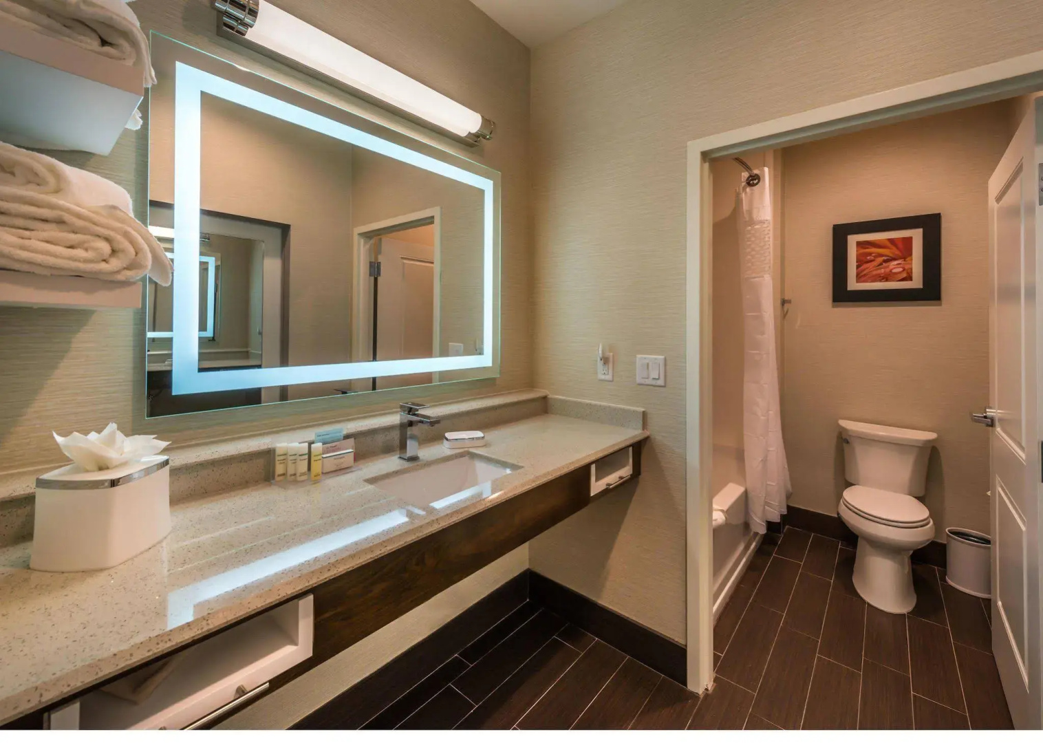 Foto - Hampton Inn & Suites Reno West