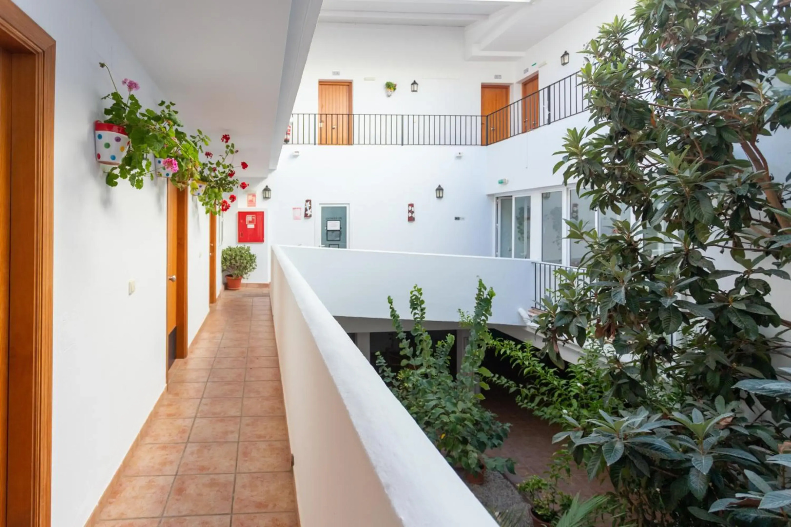 Photo - Hotel Oasis Atalaya