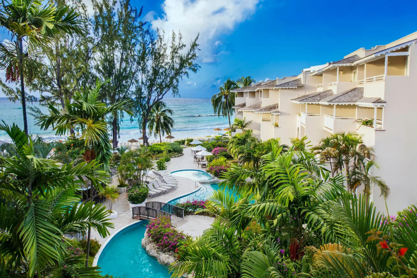 Foto - Bougainvillea Barbados
