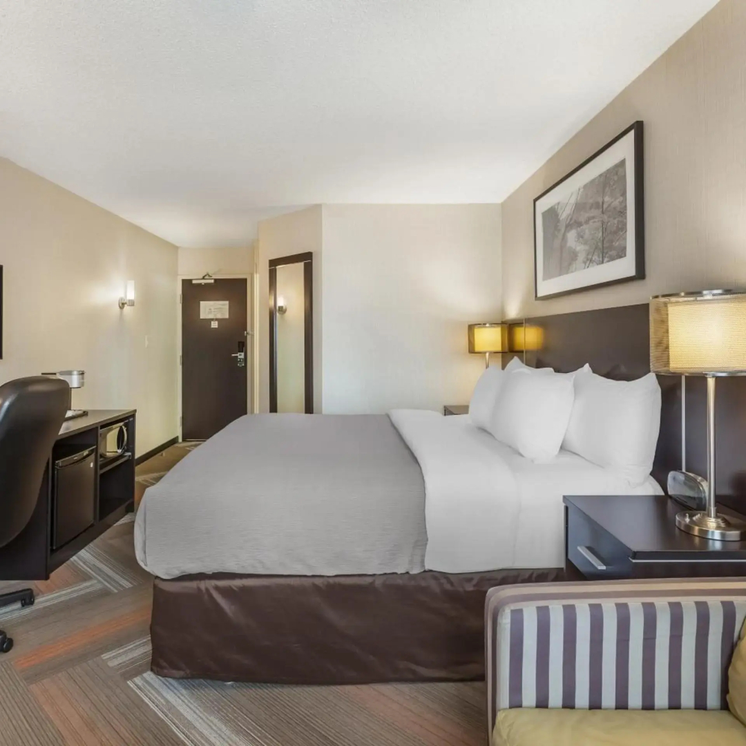 Foto - Quality Hotel