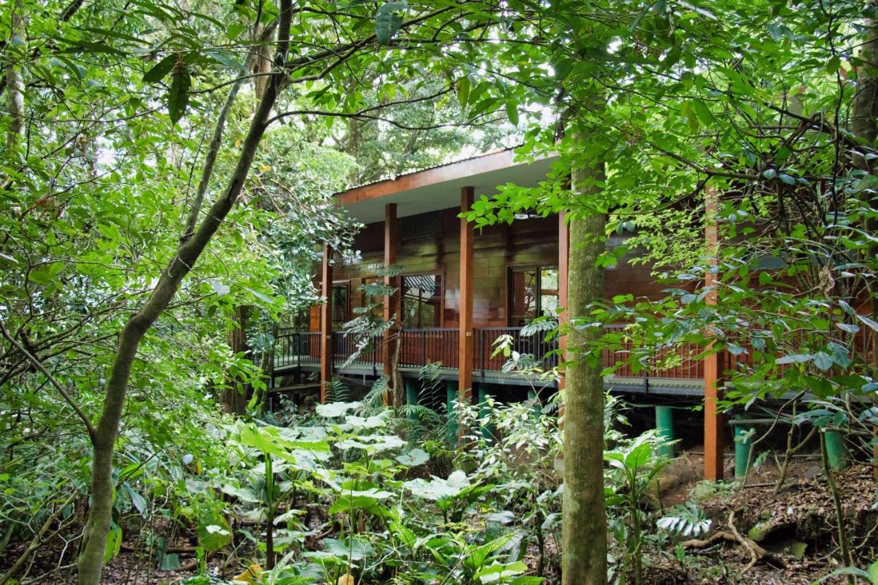 Foto - Jaguarundi Lodge