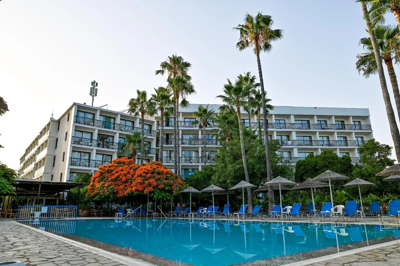 Photo - Hotel Veronica