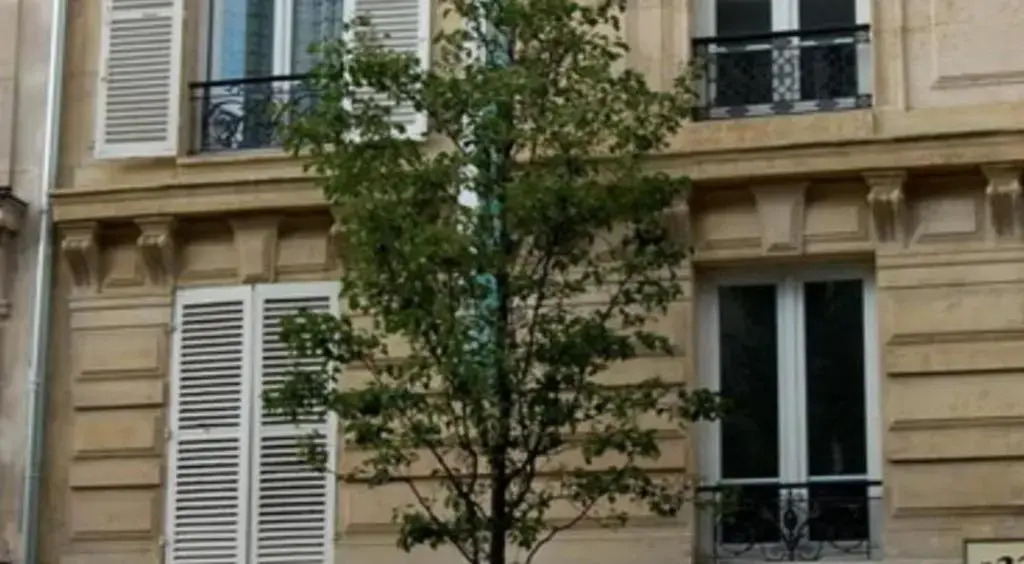 Photo - Hotel Victoria