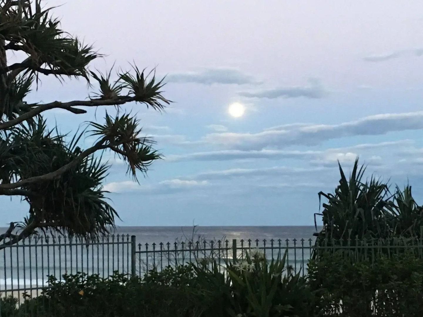 Foto - The Penthouses Apartments