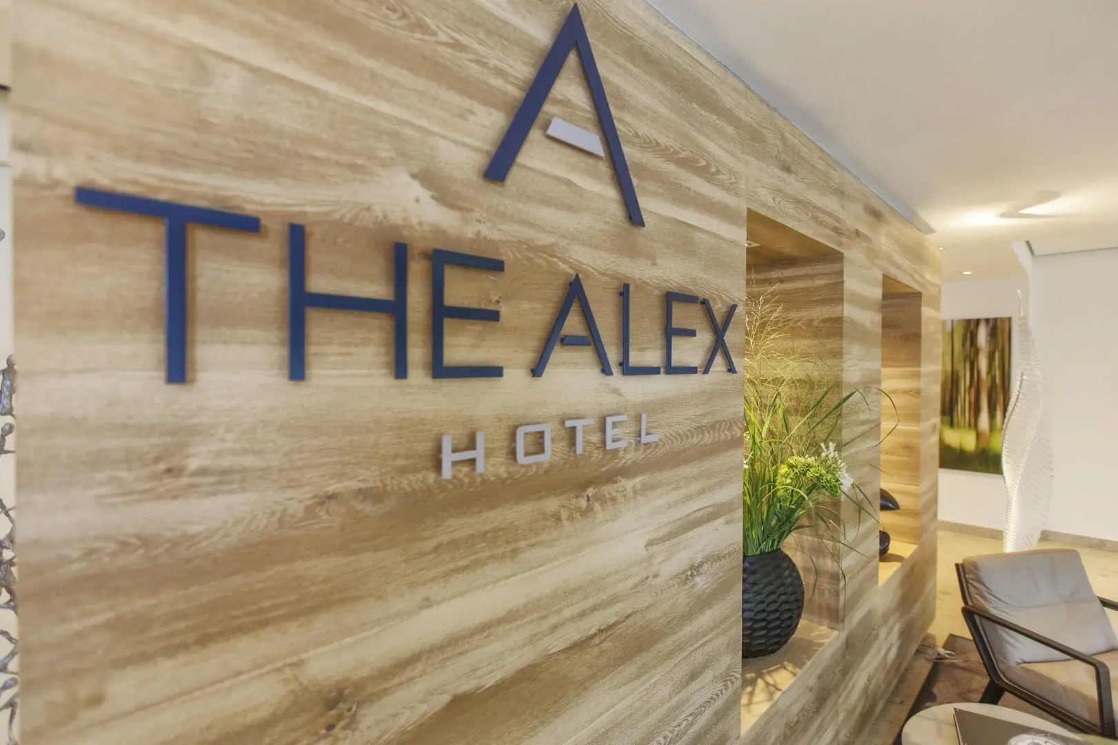Photo - The Alex Hotel