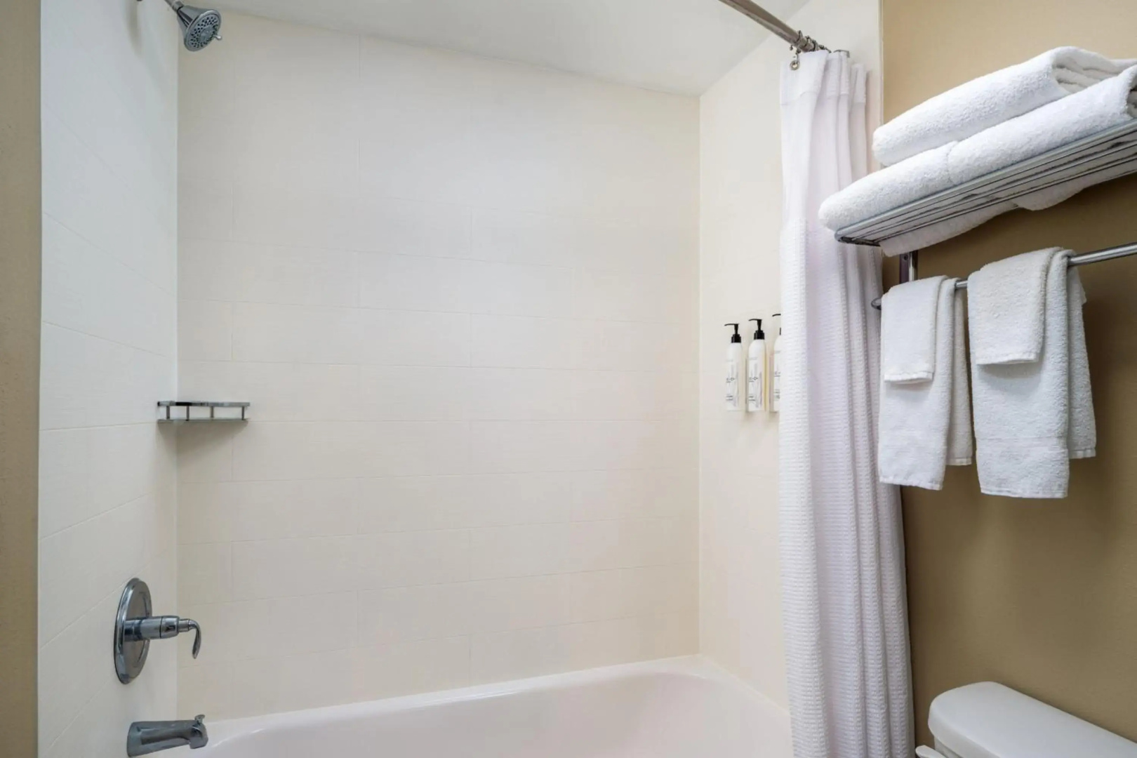 Photo - SpringHill Suites Sarasota Bradenton