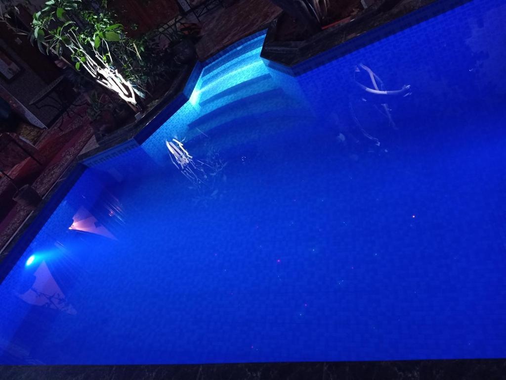 Foto - Riad Raffaa