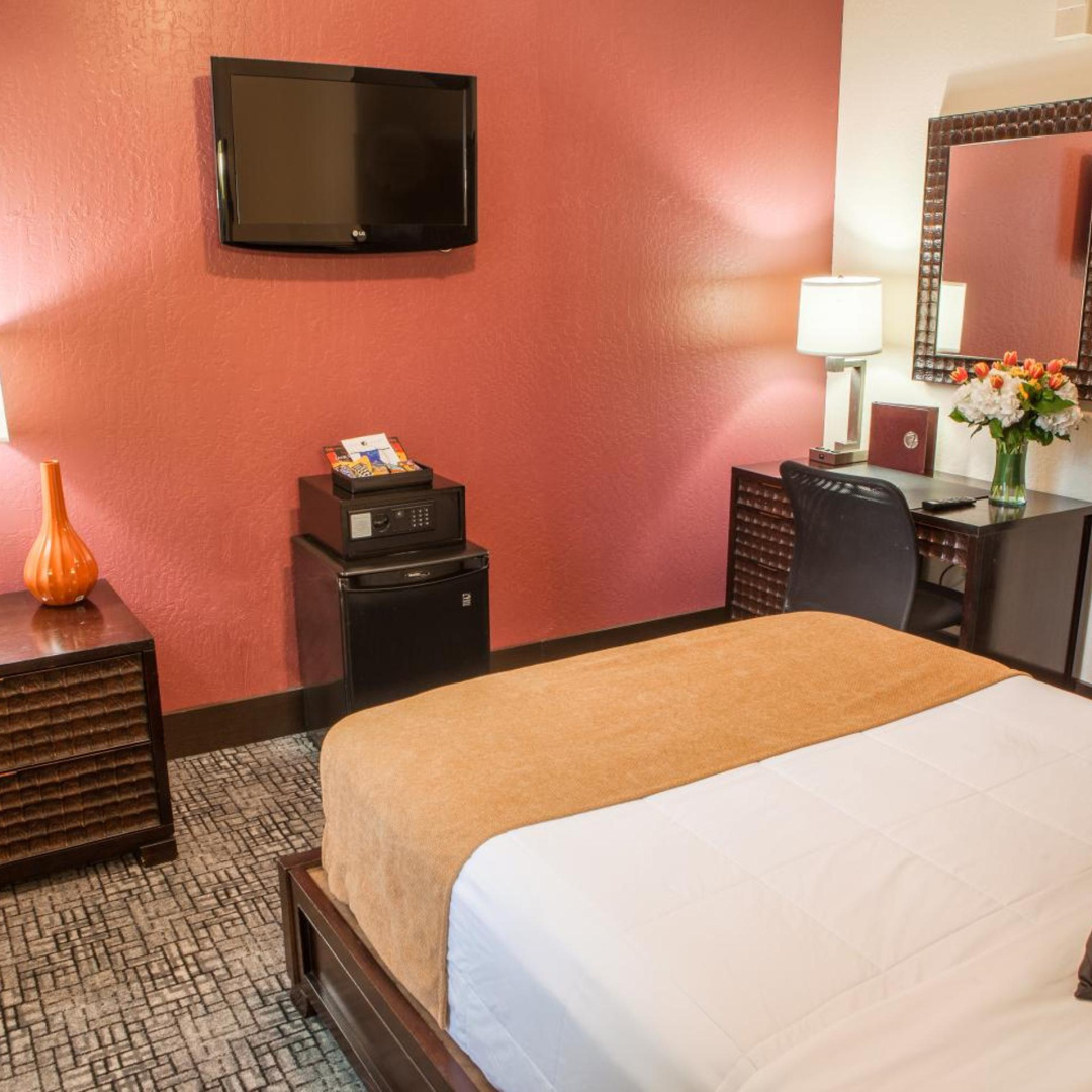 Photo - Hotel Fusion