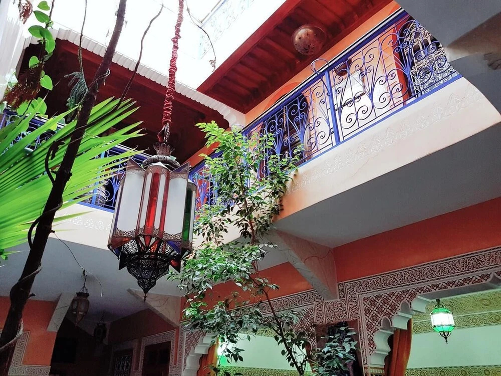 Photo - Riad Konouz