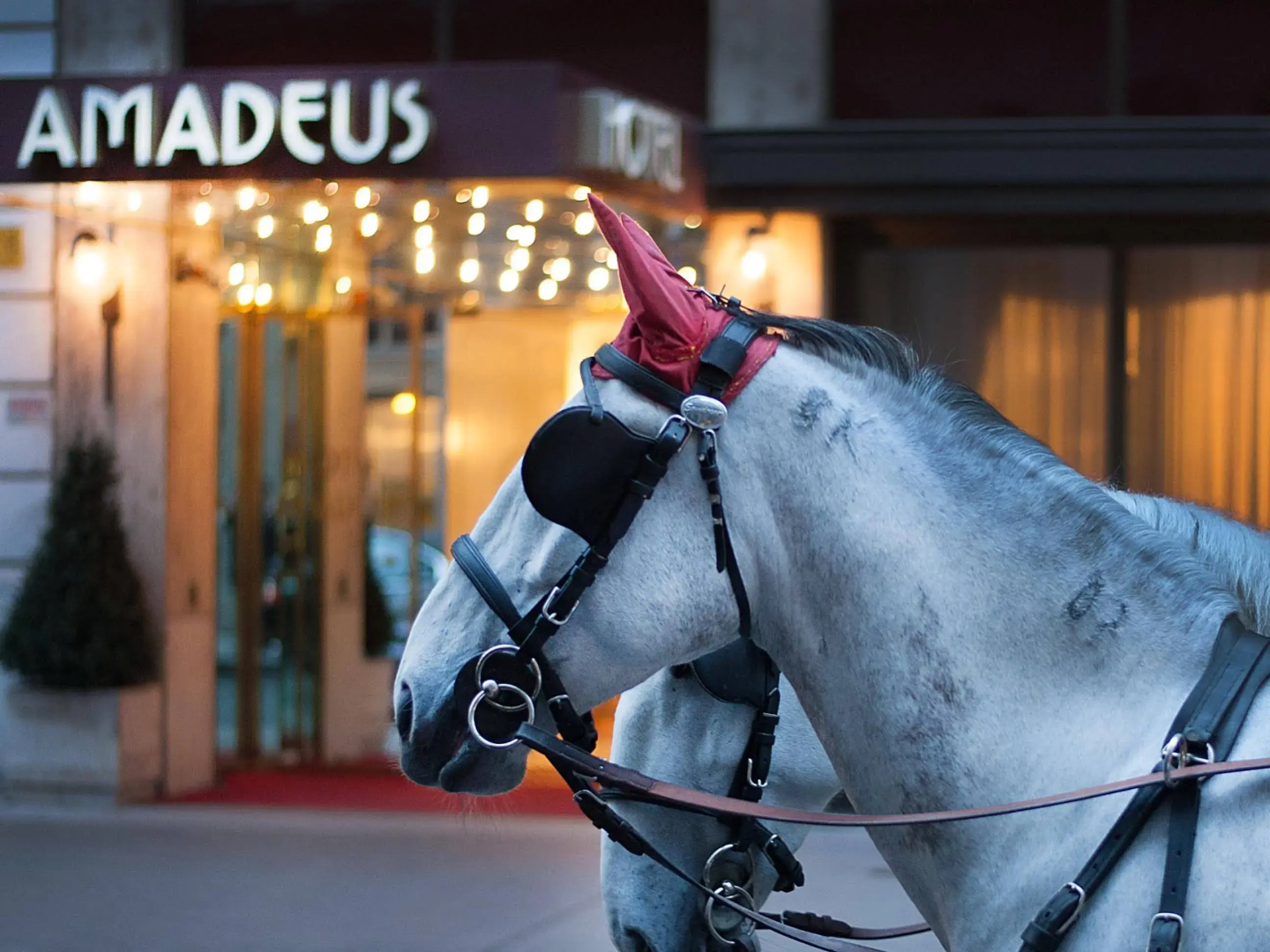 Photo - elaya hotel vienna city center, Trademark by Wyndham