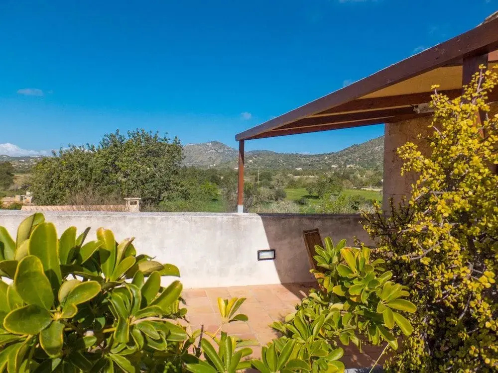 Photo - Finca Ses Cases Noves
