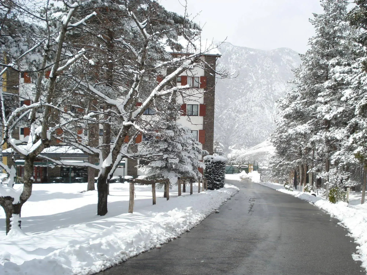 Photo - Hotel Coma Bella