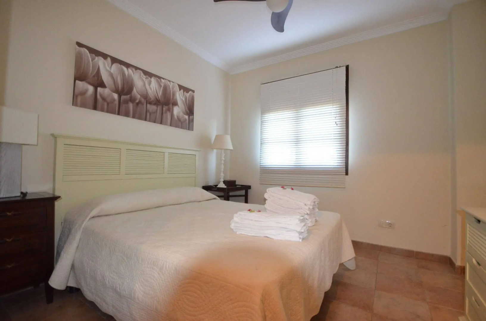Photo - Apartamentos Solmares