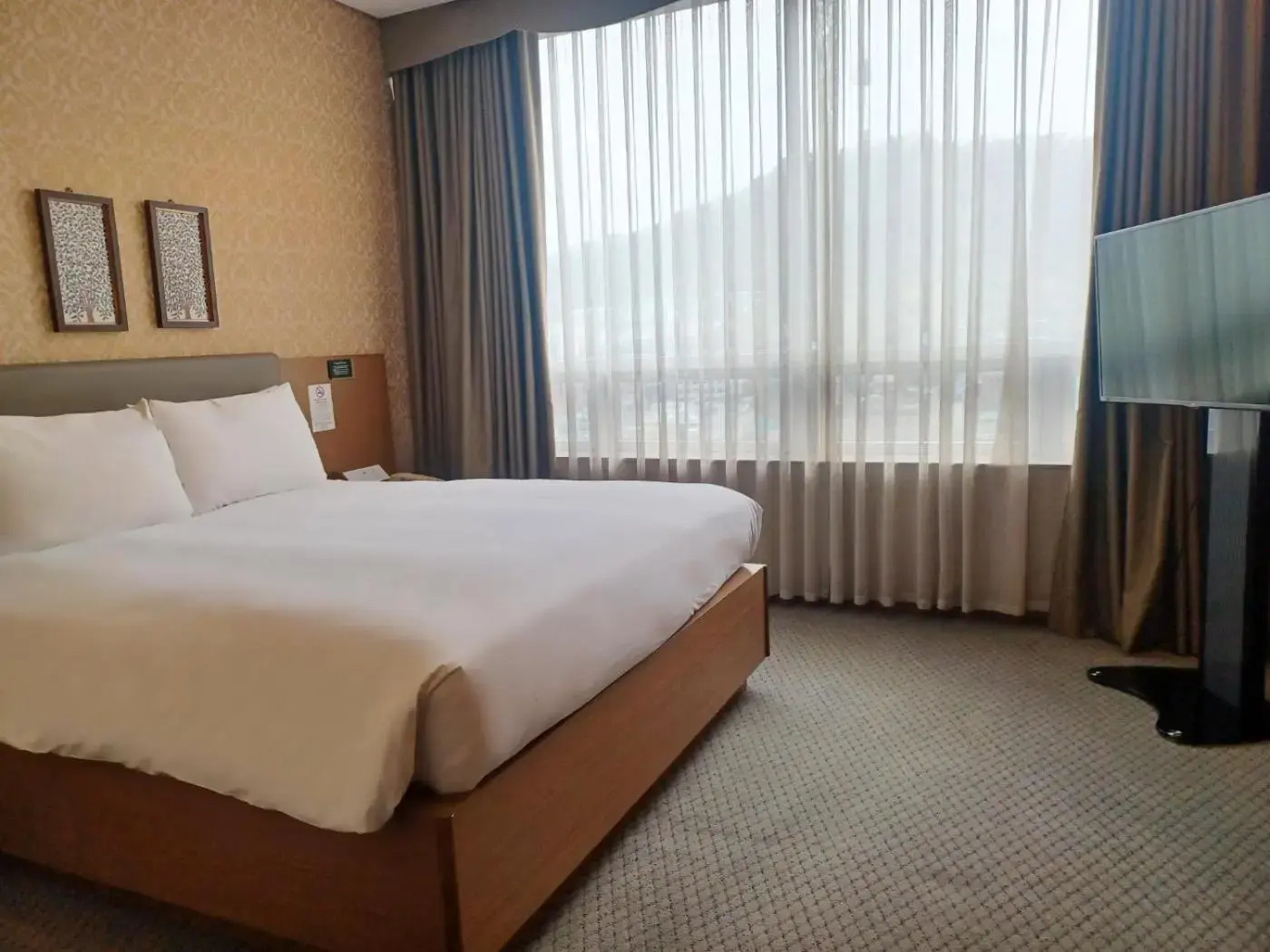 Photo - Migliore Hotel Seoul Myeongdong