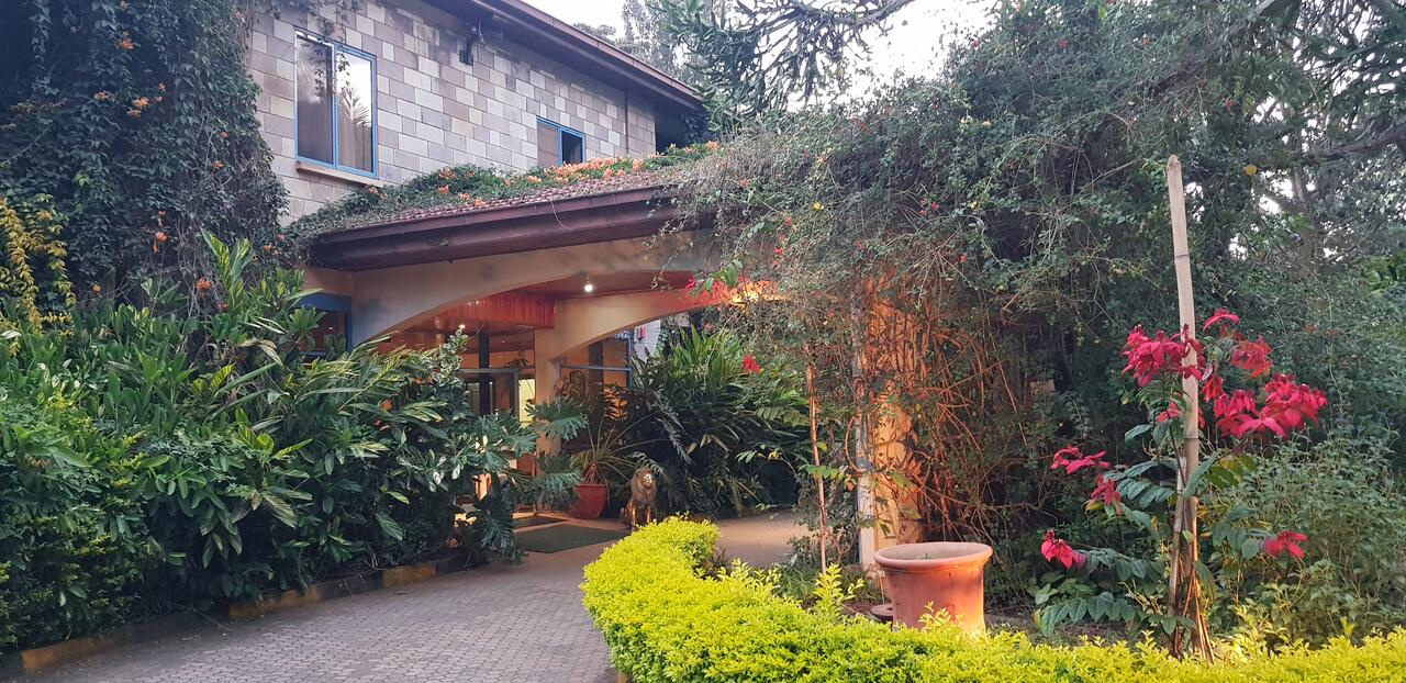 Foto - La Mada Hotel