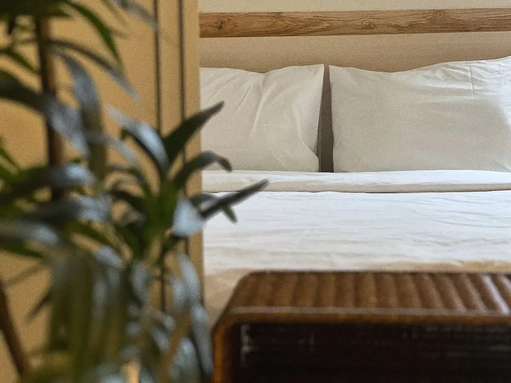 Photo - Jnineguesthouse