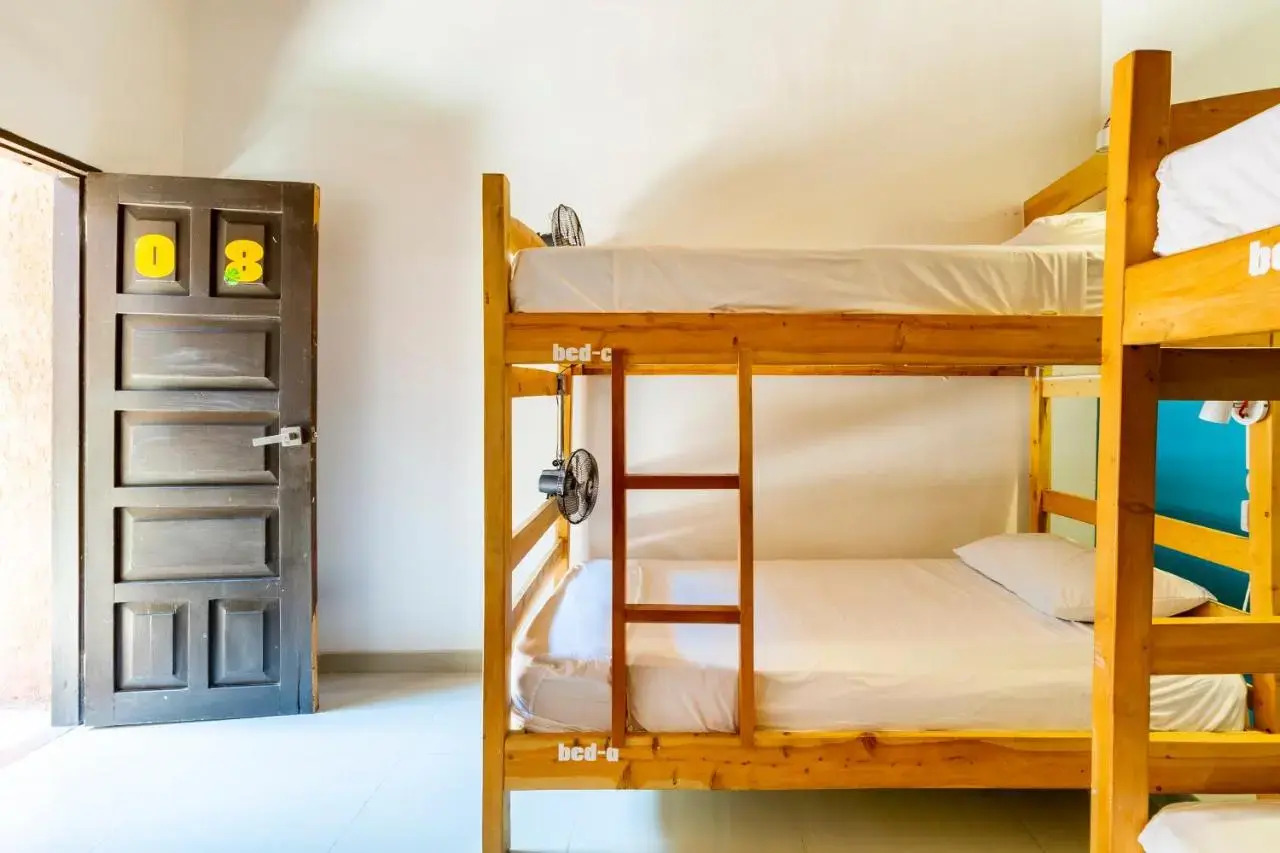 Foto - Gagaka Rua hostel