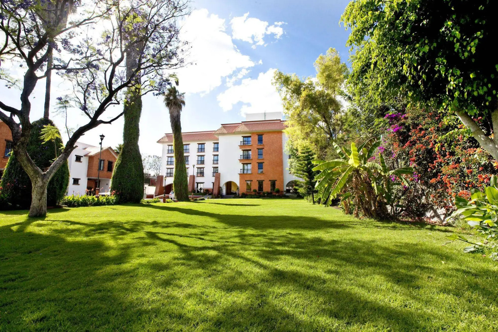 Foto - Hotel Flamingo Inn