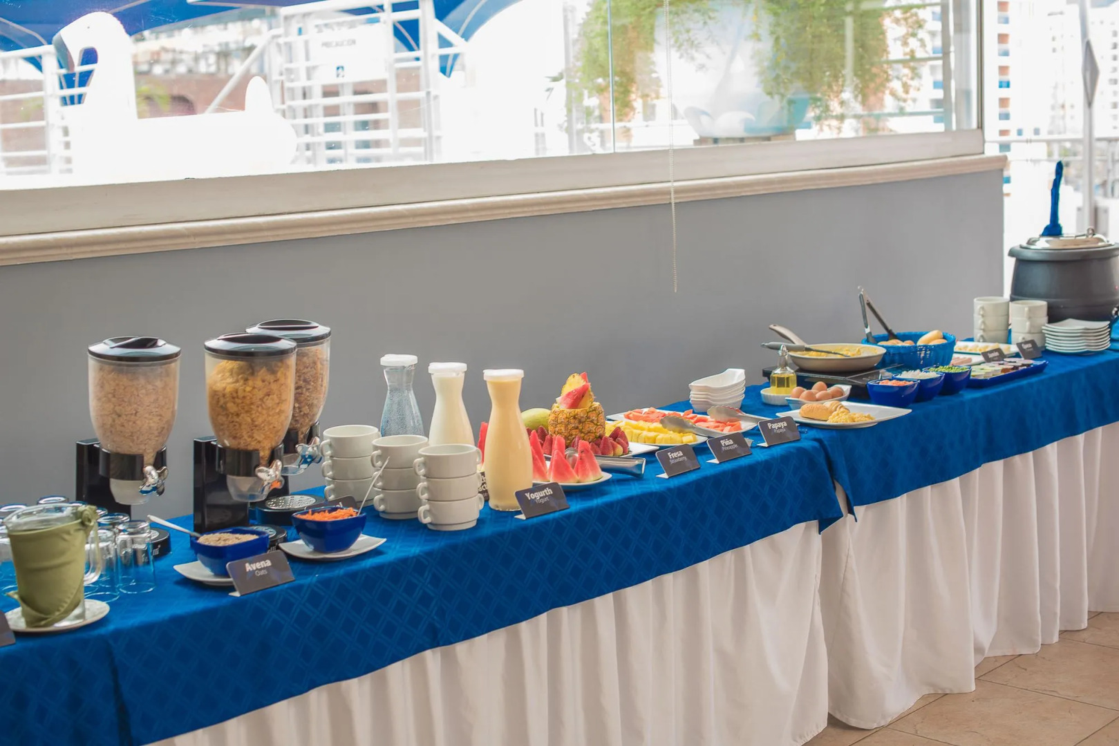 Foto - Hotel Buena Vista