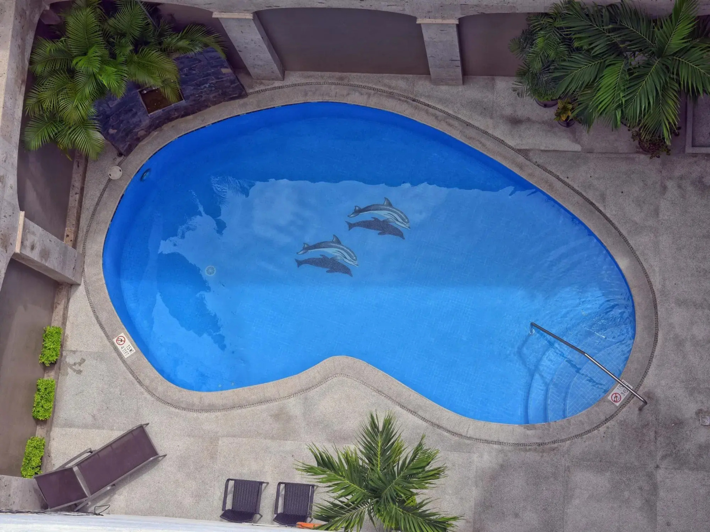 Photo - Hotel Eloisa