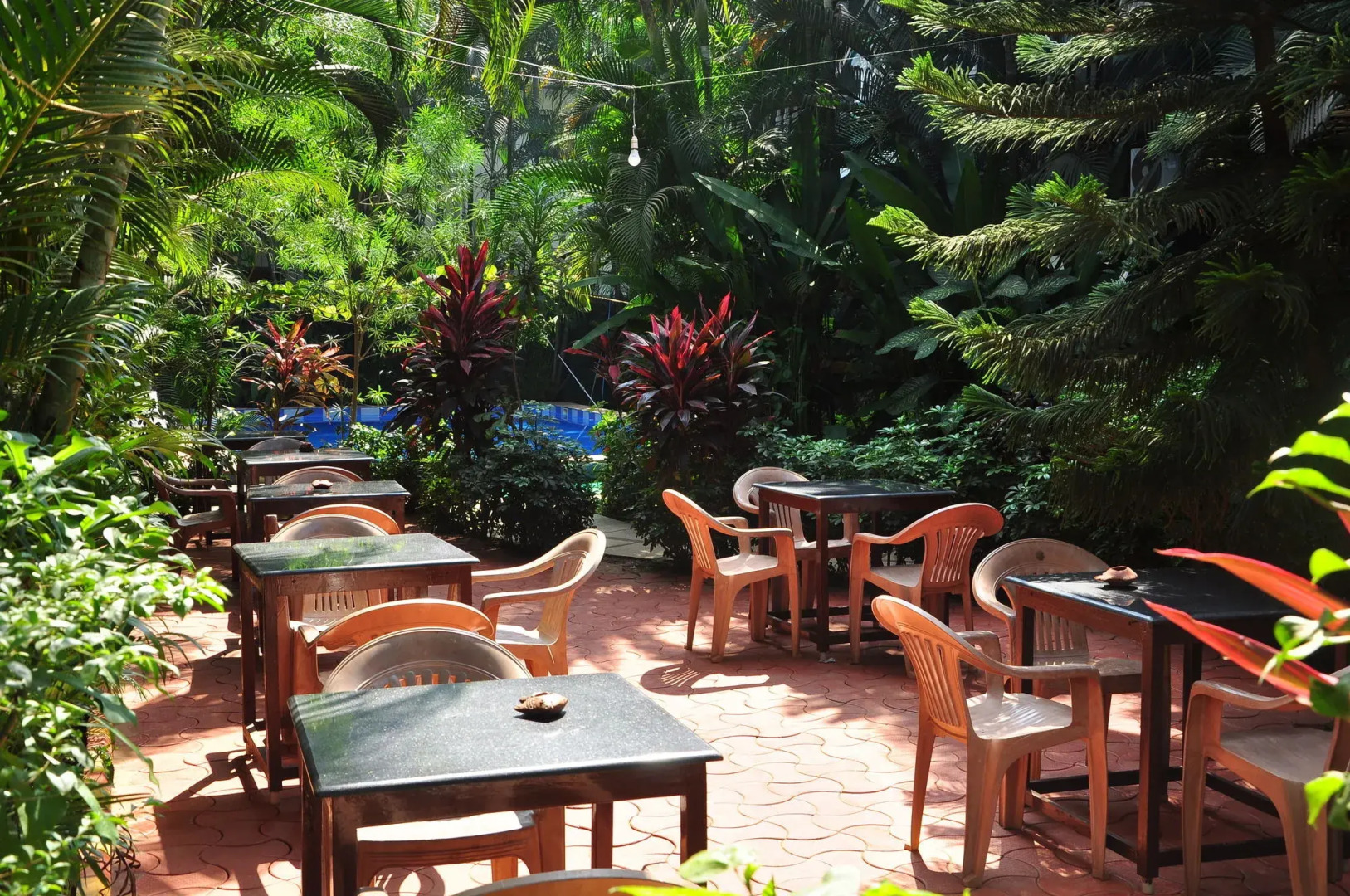 Foto - Villa Theresa Beach Resort