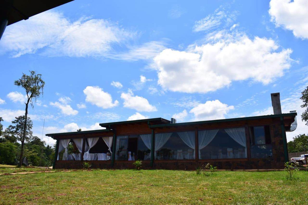 Foto - Tupa Lodge selva y río