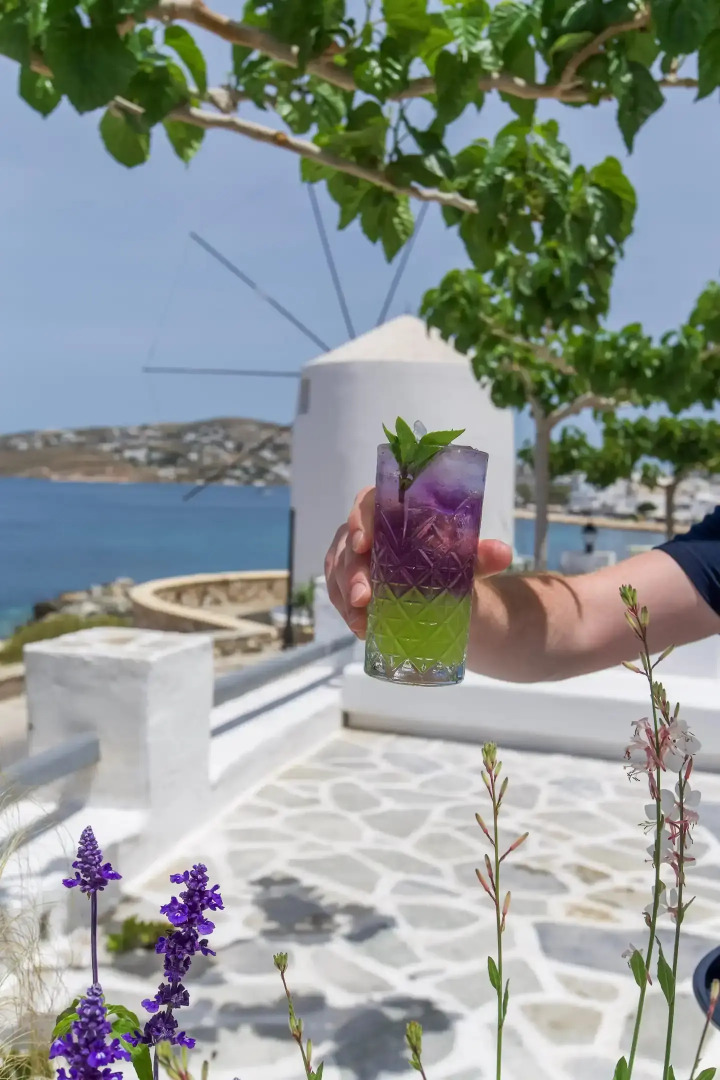 Photo - Pandrossos Hotel - Paros