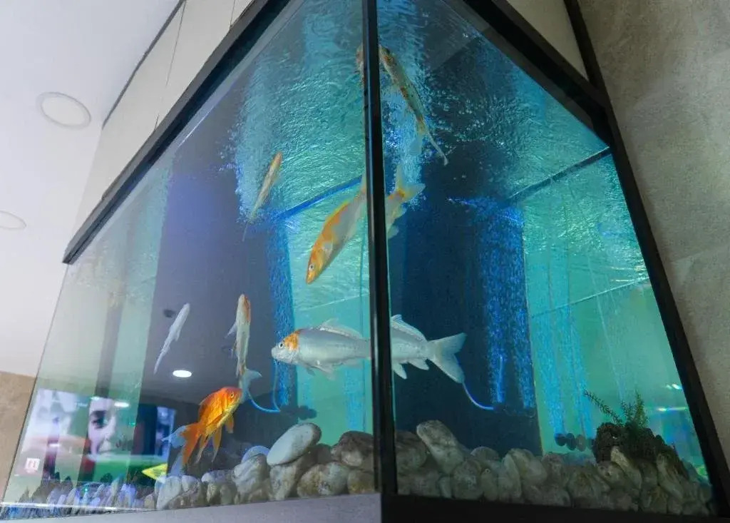 Foto - Residencial do Areeiro