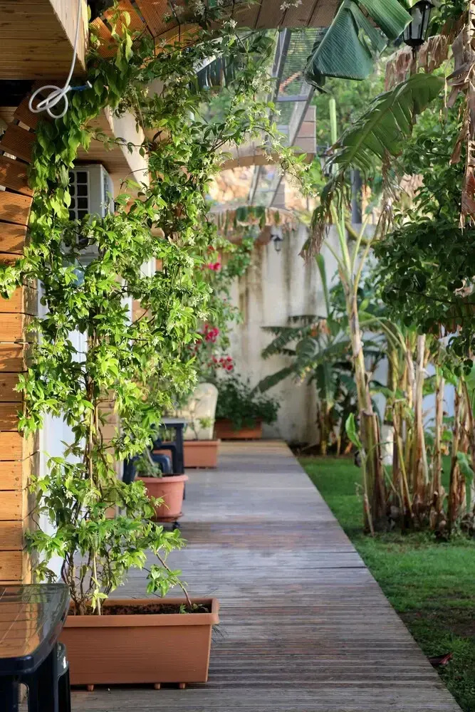 Photo - Villa Green Garden