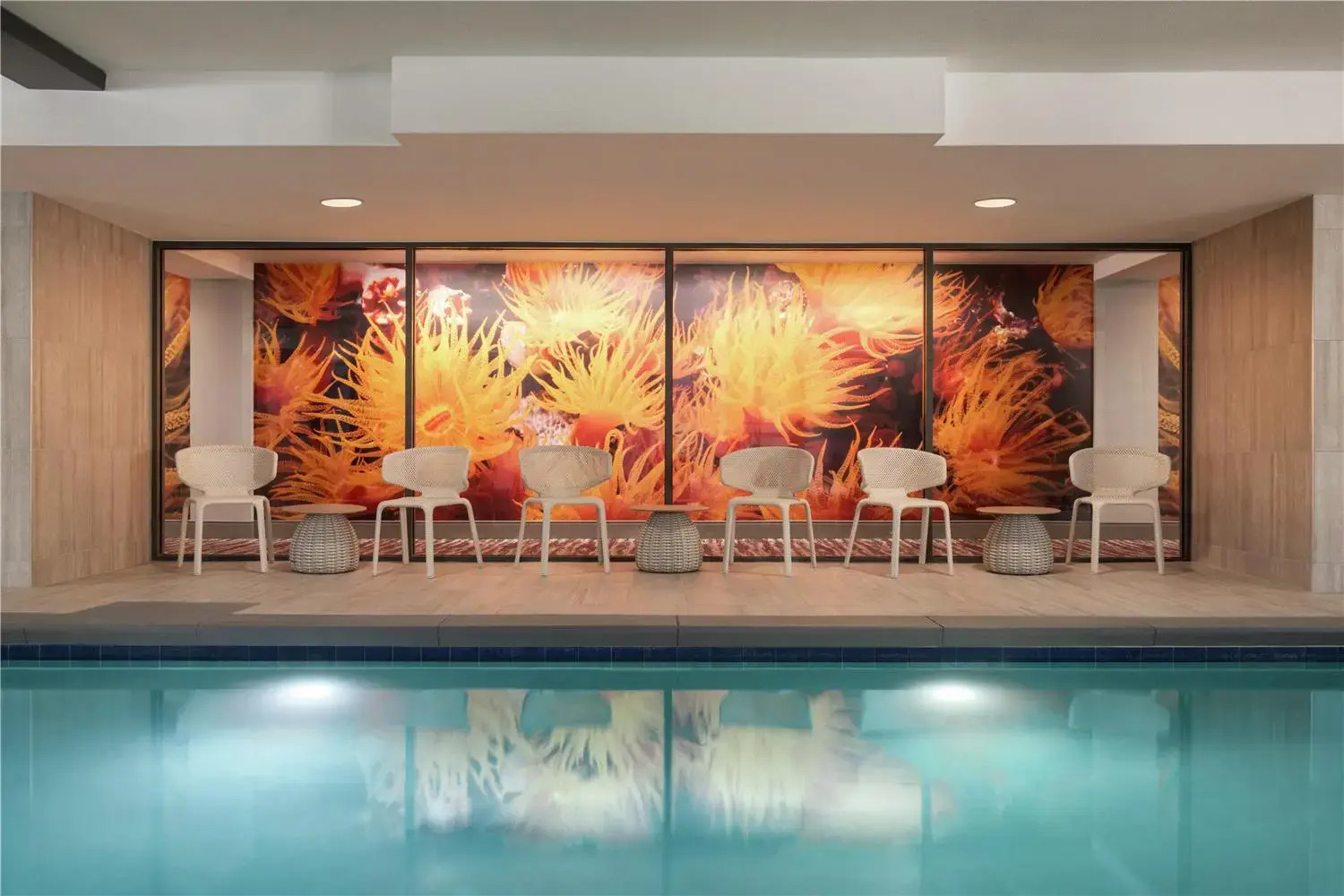 Foto - Hilton Garden Inn Atlanta Downtown