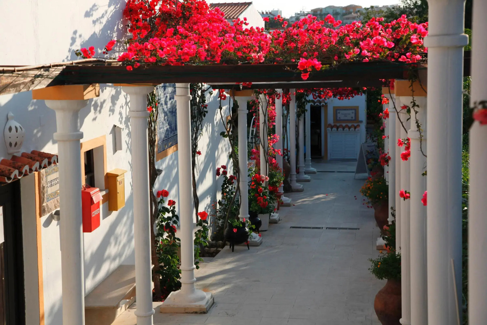 Foto - Muthu Balaia Sol