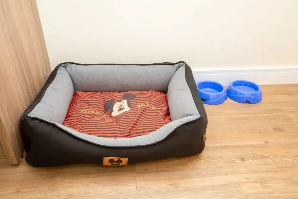 Photo - Transamerica Fit Campinas