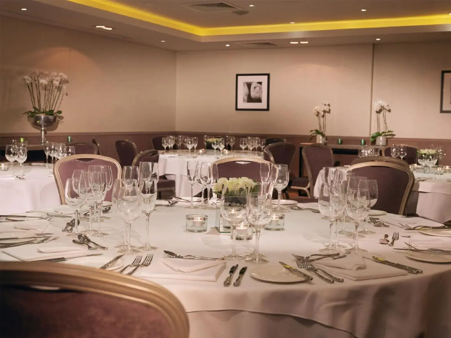 Photo - Macdonald Windsor