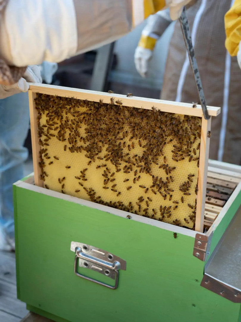 Foto - Imago Plus Hotel