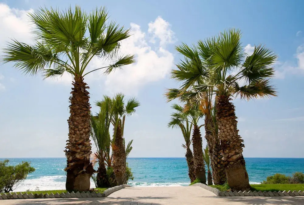 Photo - Louis Paphos Breeze