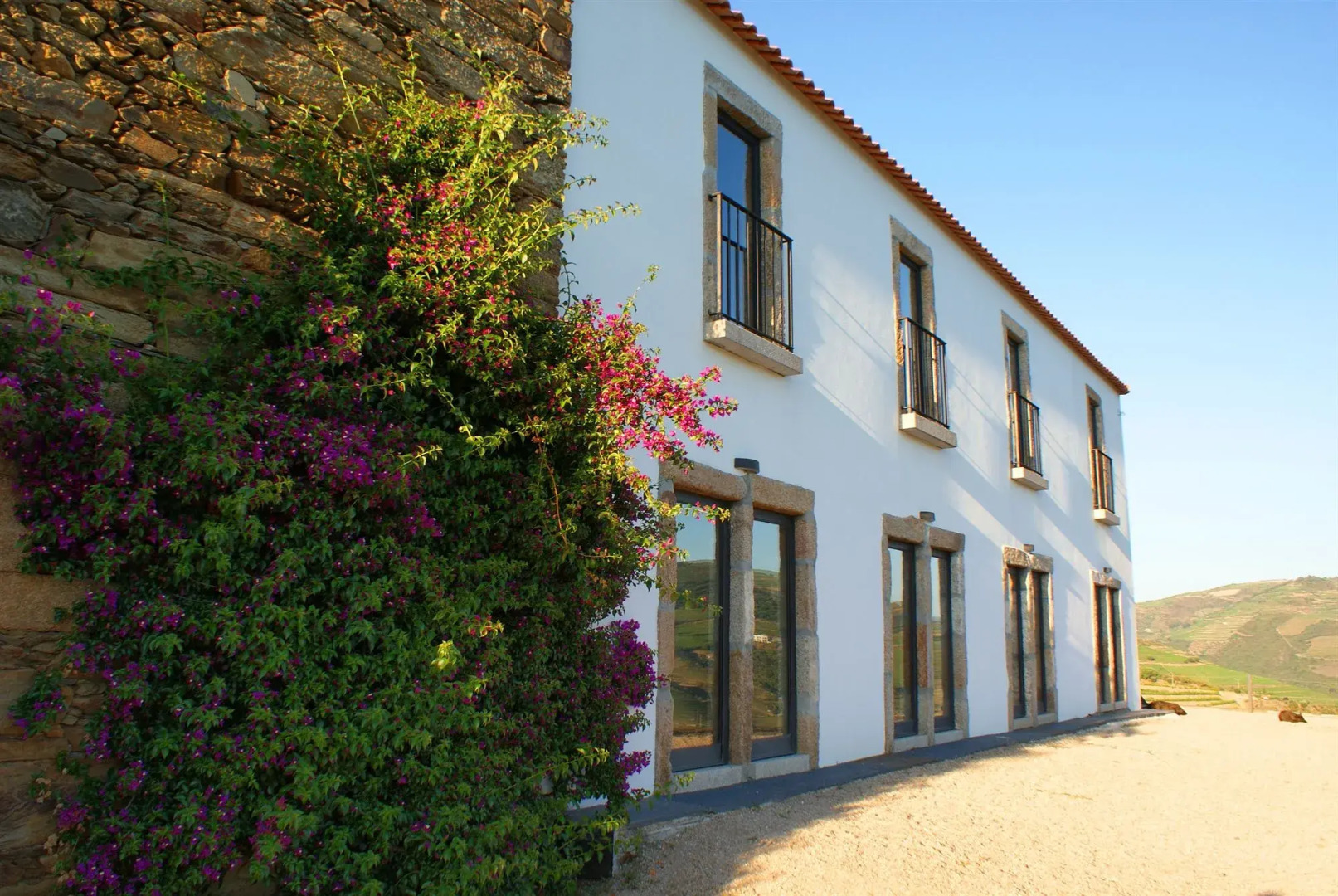Foto - Quinta da Veiga