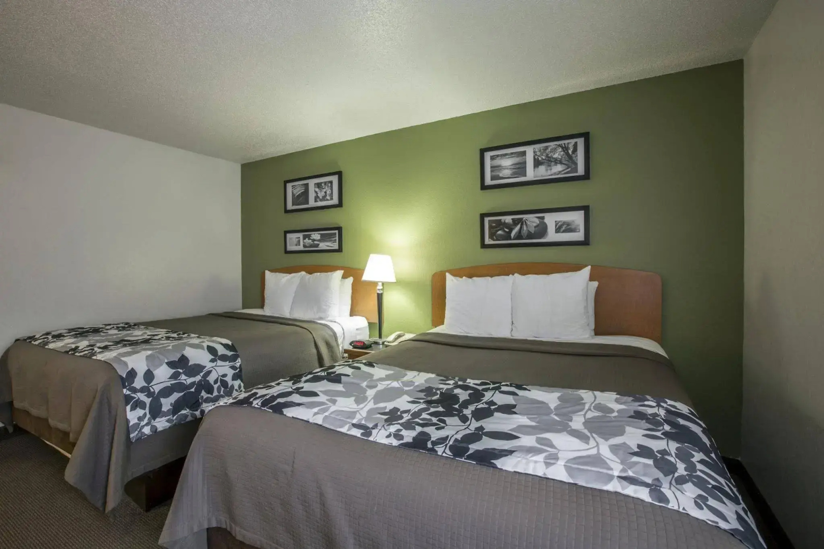 Foto - Sleep Inn & Suites near Sports World Blvd