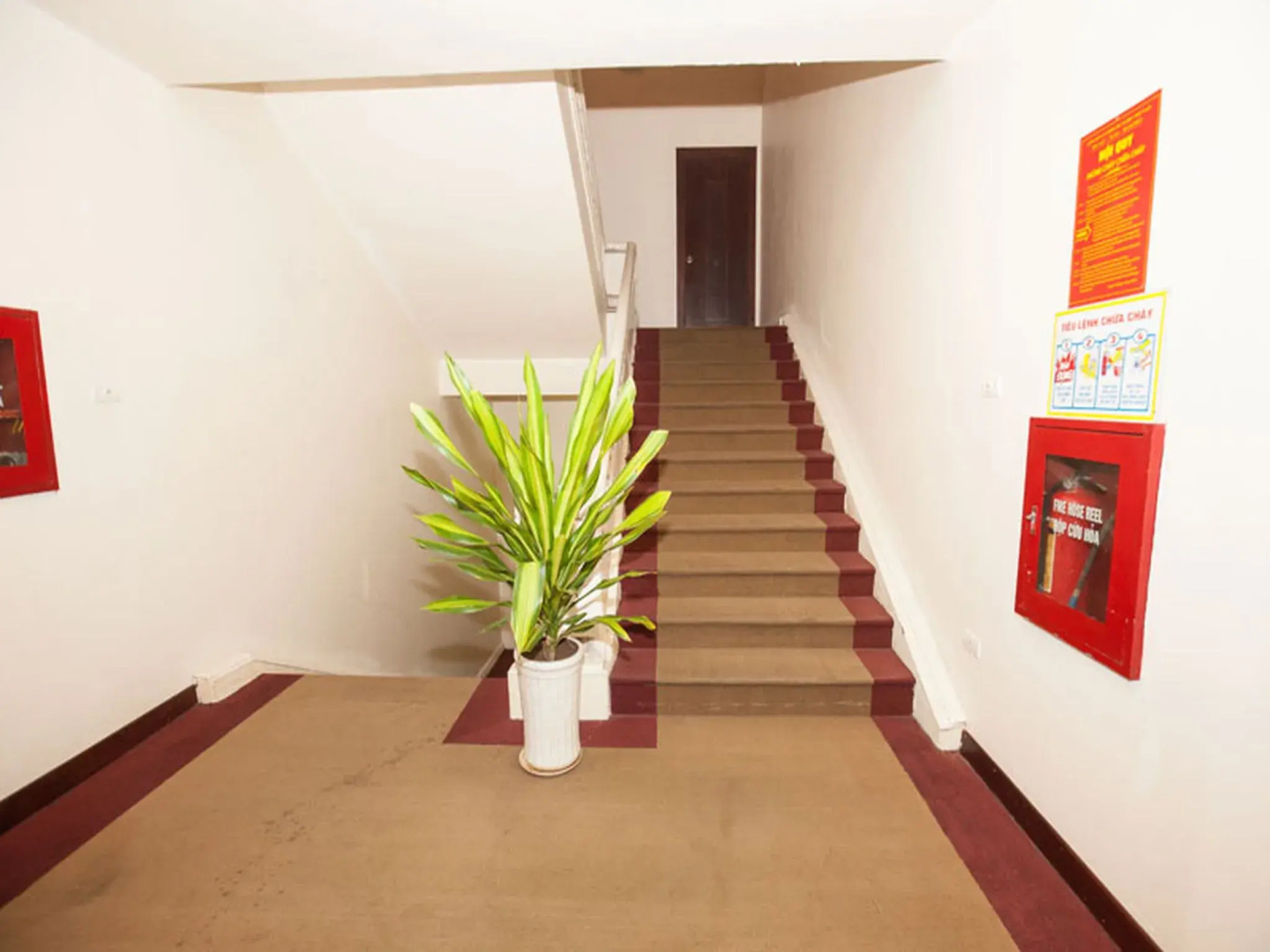 Photo - Sao Mai Boutique Hotel