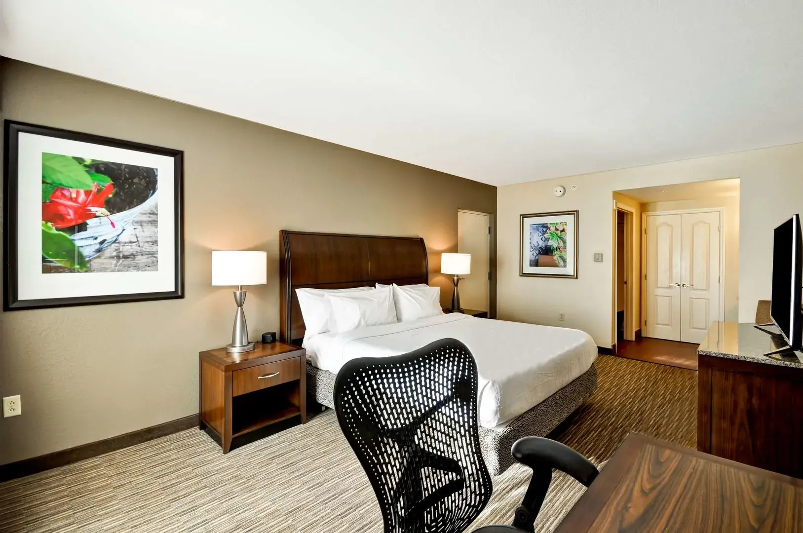 Foto - Hilton Garden Inn Tampa North