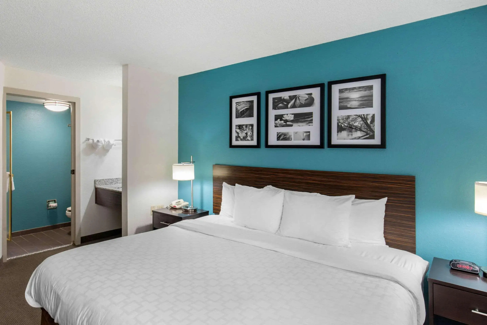 Photo - Clarion Inn & Suites DFW North