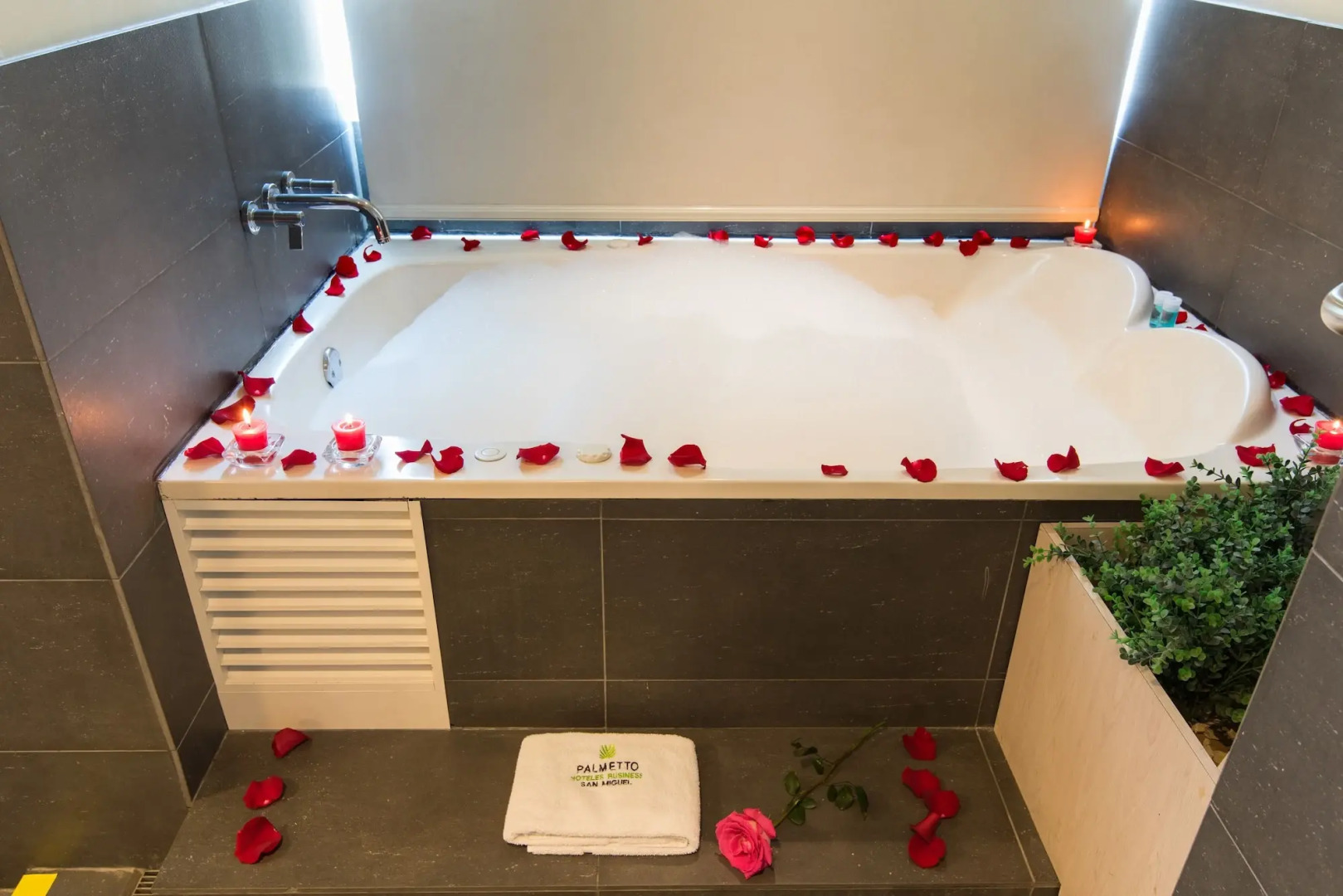 Photo - Palmetto Hotel Business San Miguel