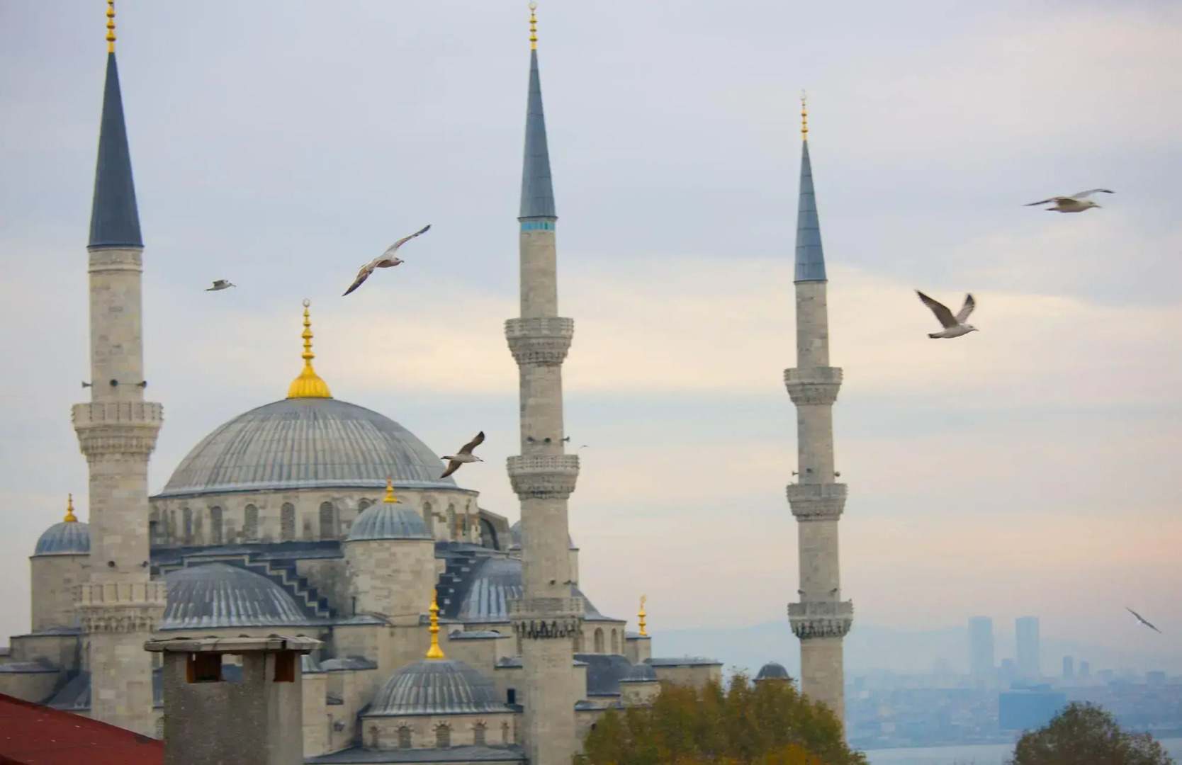 Photo - Hotel Perula & SPA