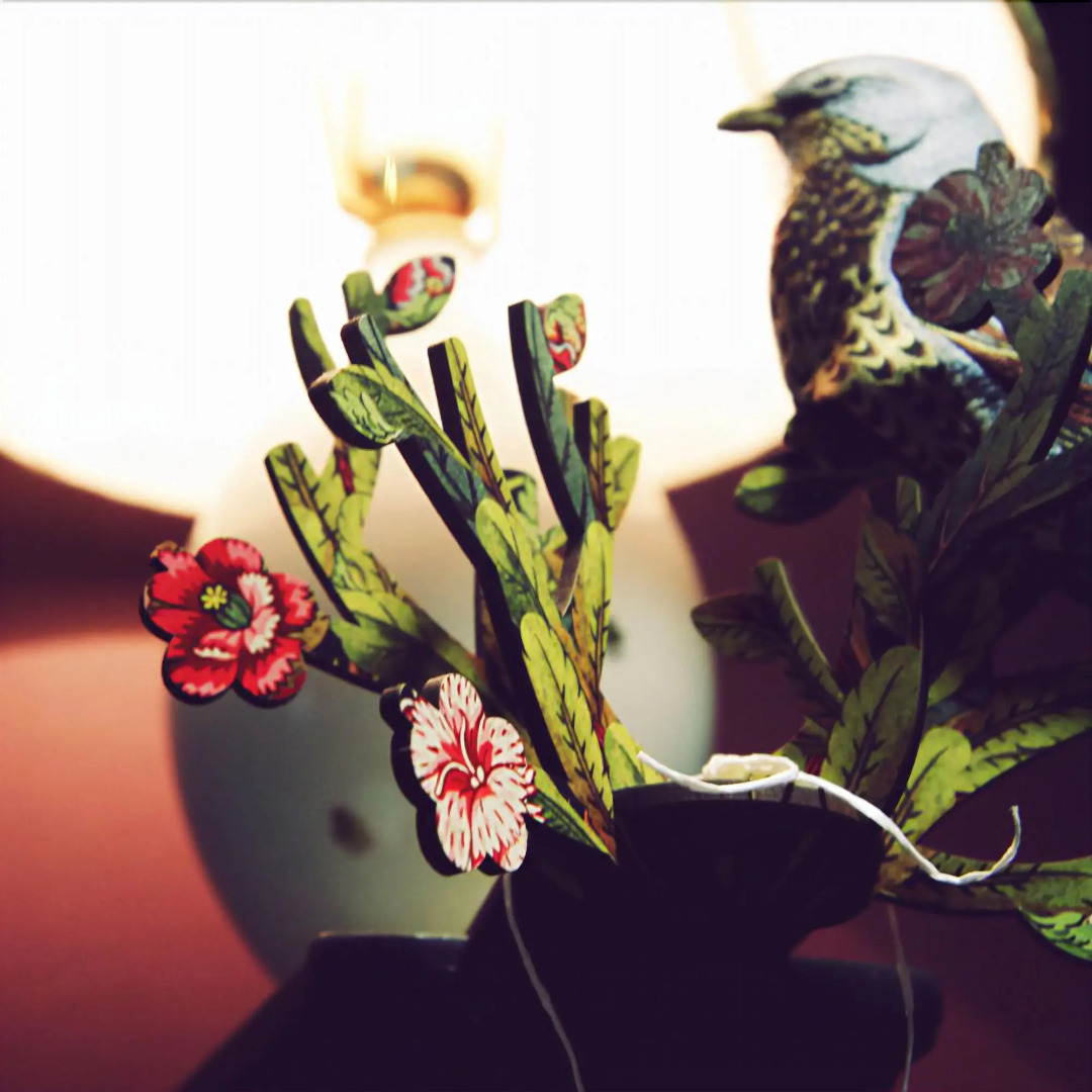 Photo - Saint SHERMIN bed breakfast & champagne