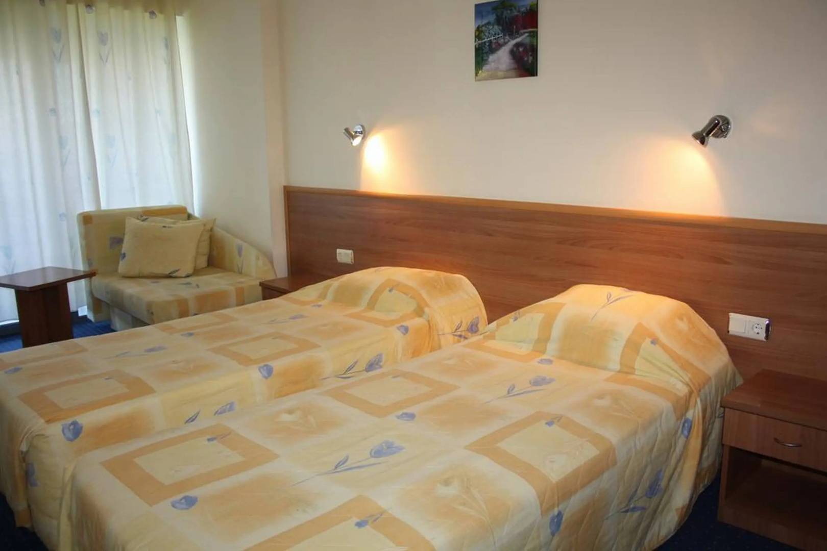 Photo - Hotel Perunika