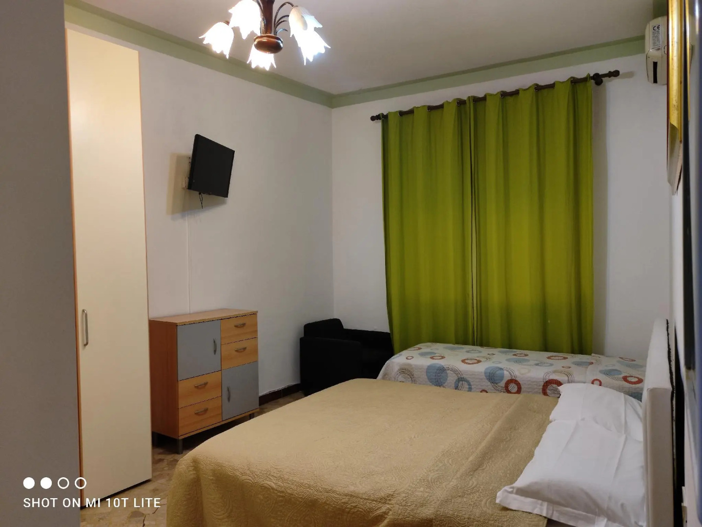 Photo - The Caponi Bros