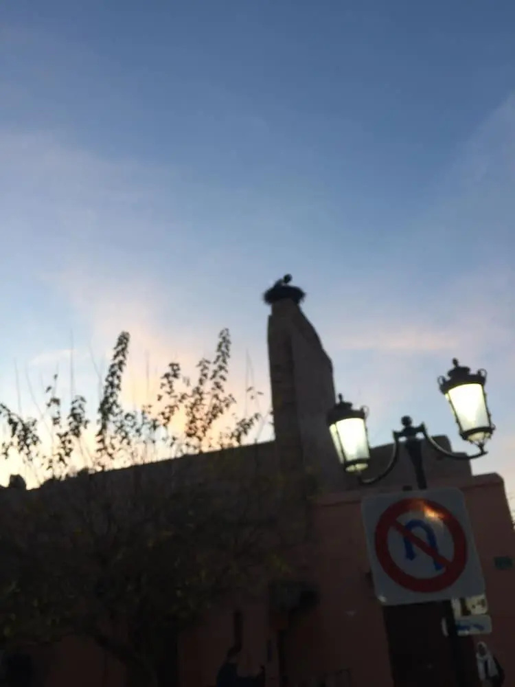 Foto - Riad 46