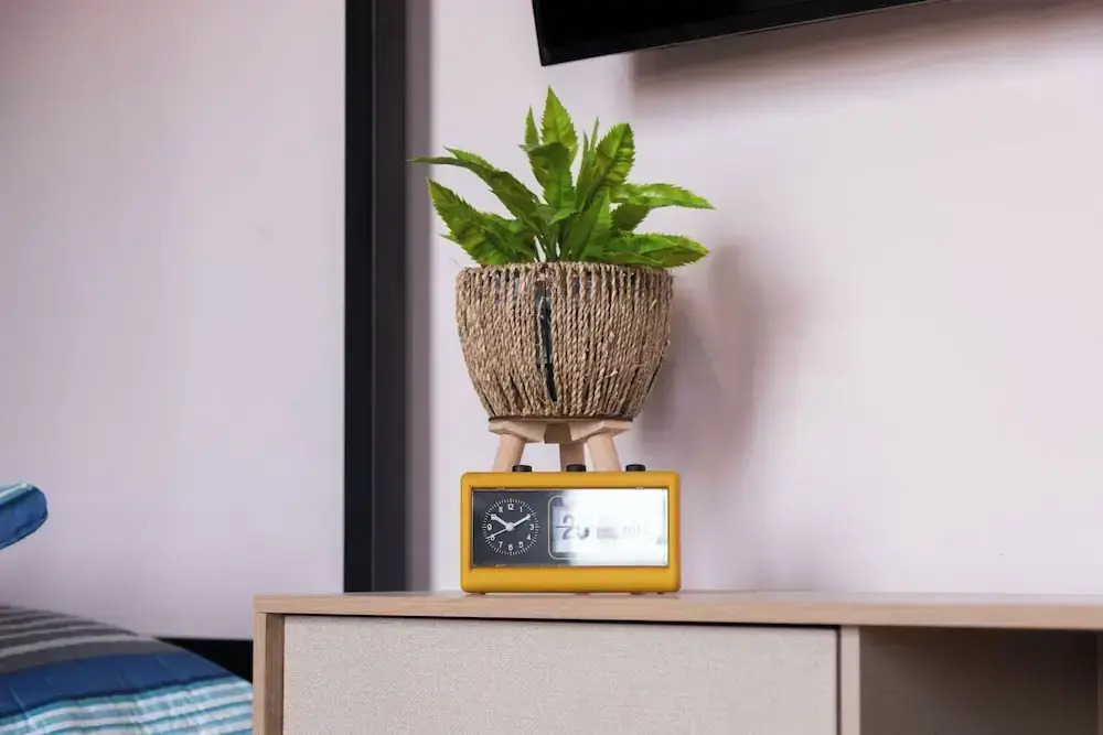 Foto - Royal Living Poblado