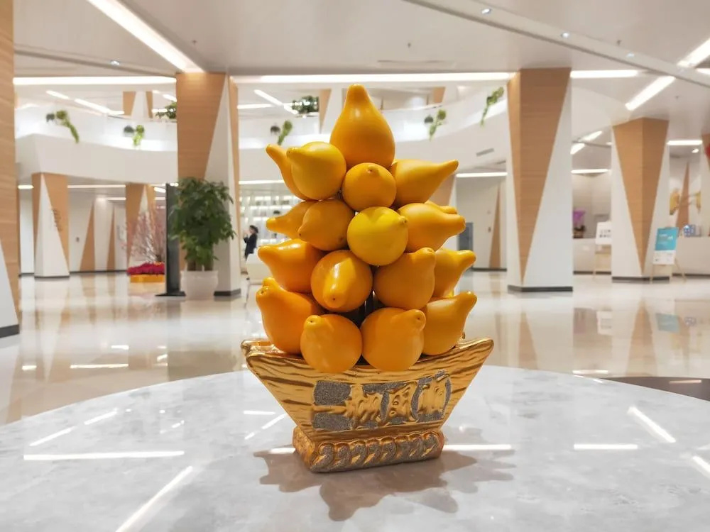 Photo - GHIC The Mulian Hotel of Bio-island Guangzhou
