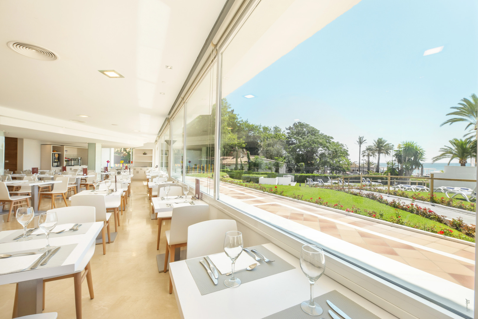 Photo - Globales Gardenia